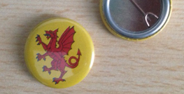 25mm Somerset button badges