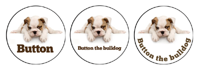 Button the bulldog puppy